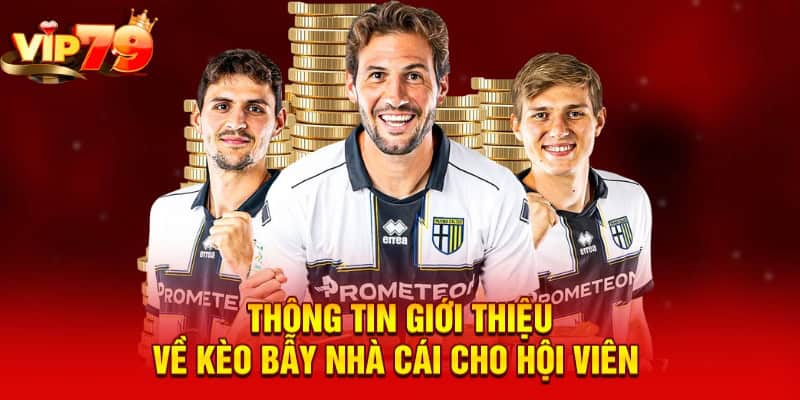 Thông tin giới thiệu về kèo bẫy nhà cái cho hội viên 